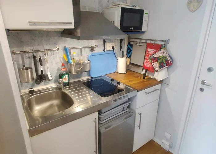 民宿 Minikoti, Kalustettu Huone 1-2 Henkiloelle 里希迈基